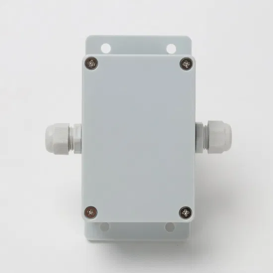 One in and One out Terminal Waterproof Junction Box 100*68*50mm Install The Ears ABS IP67 Tb1508 Copper